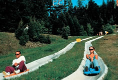 Luge d'été
